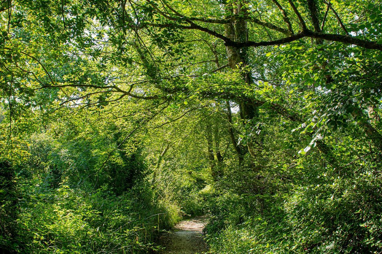 Cusgarne Manor Boutique B&B - Adults Only Truro Eksteriør bilde
